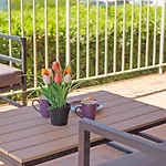 Golfe Saint Tropez Marina Reve D Azur