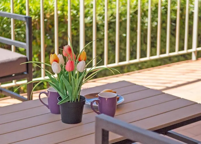 Golfe Saint Tropez Marina Reve D Azur